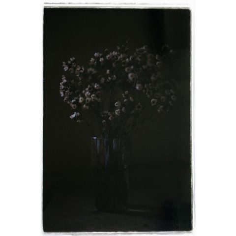 Shirley Welten | Lipari