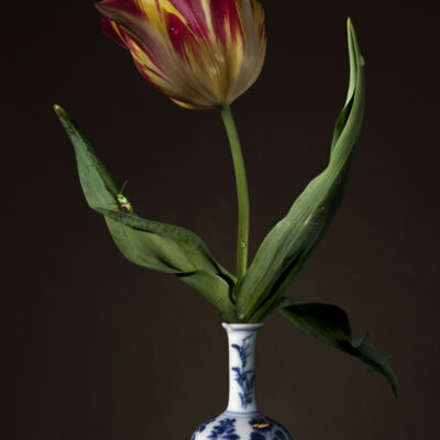 Bas Meeuws | Untitled (#164)