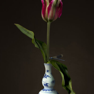 Bas Meeuws | Untitled (#171)