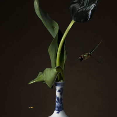 Bas Meeuws | Untitled (#166)