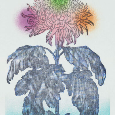 Jacomijn den Engelsen | Crazy Chrysanthemum