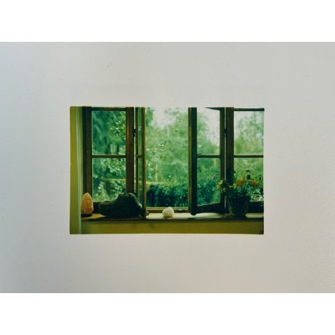 Shirley Welten | Econolonie