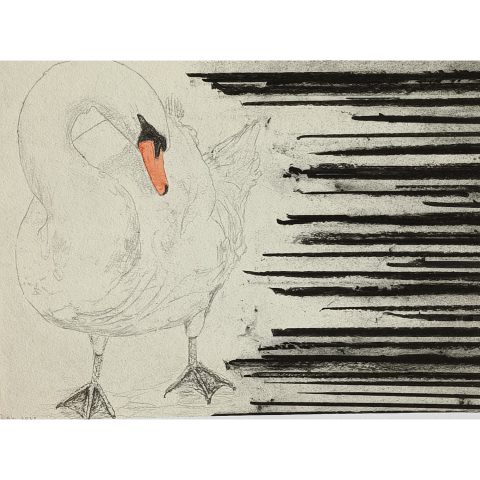 Arno Kramer | zonder titel