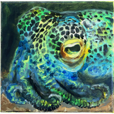 Rosalynn van Hummel | Octopussy