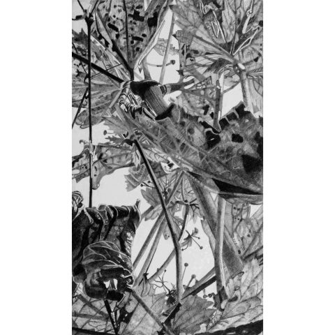 Mirjam Abraas | Elegans IV