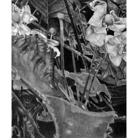 Mirjam Abraas | Elegans II