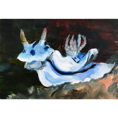 Rosalynn van Hummel | Nudibranch