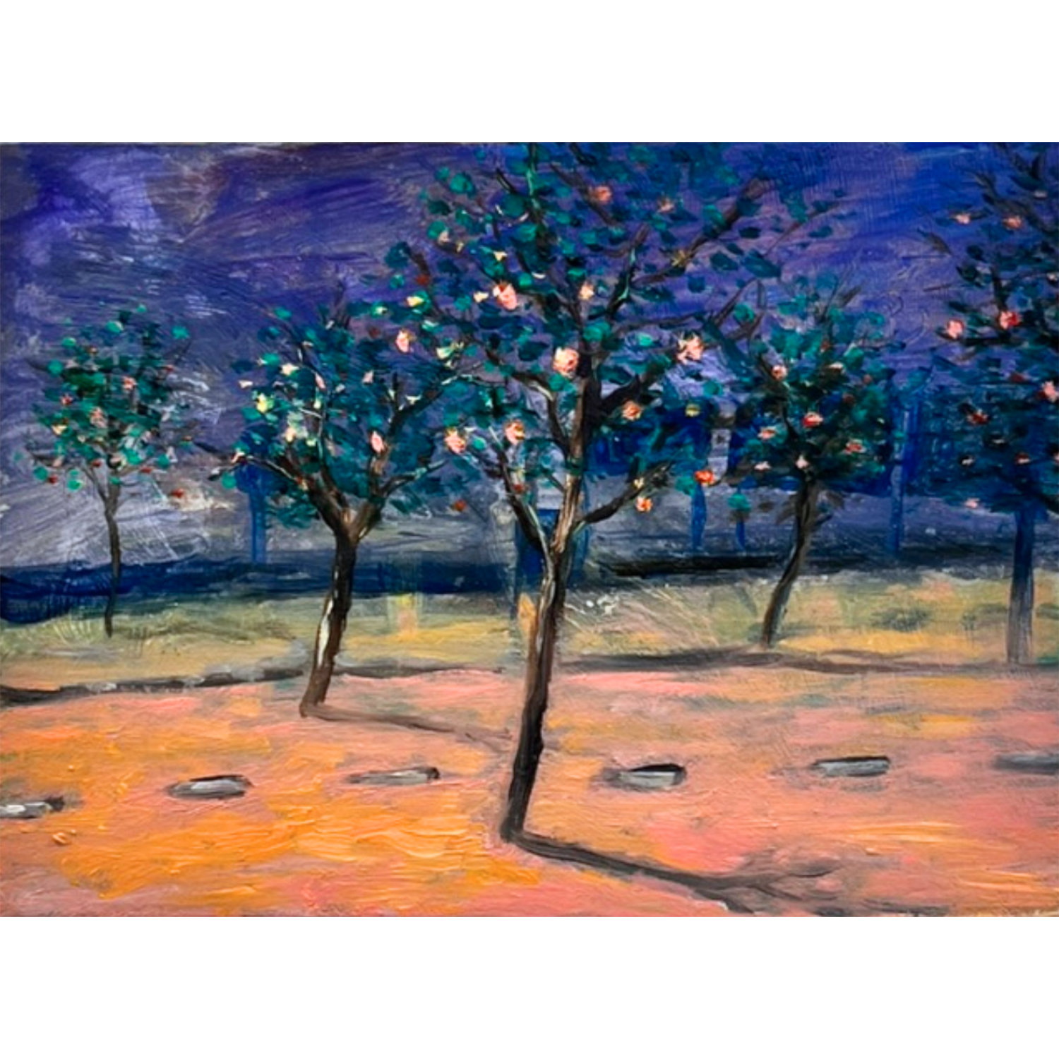 Martijn Lucas van Erp | Fruitboomweg