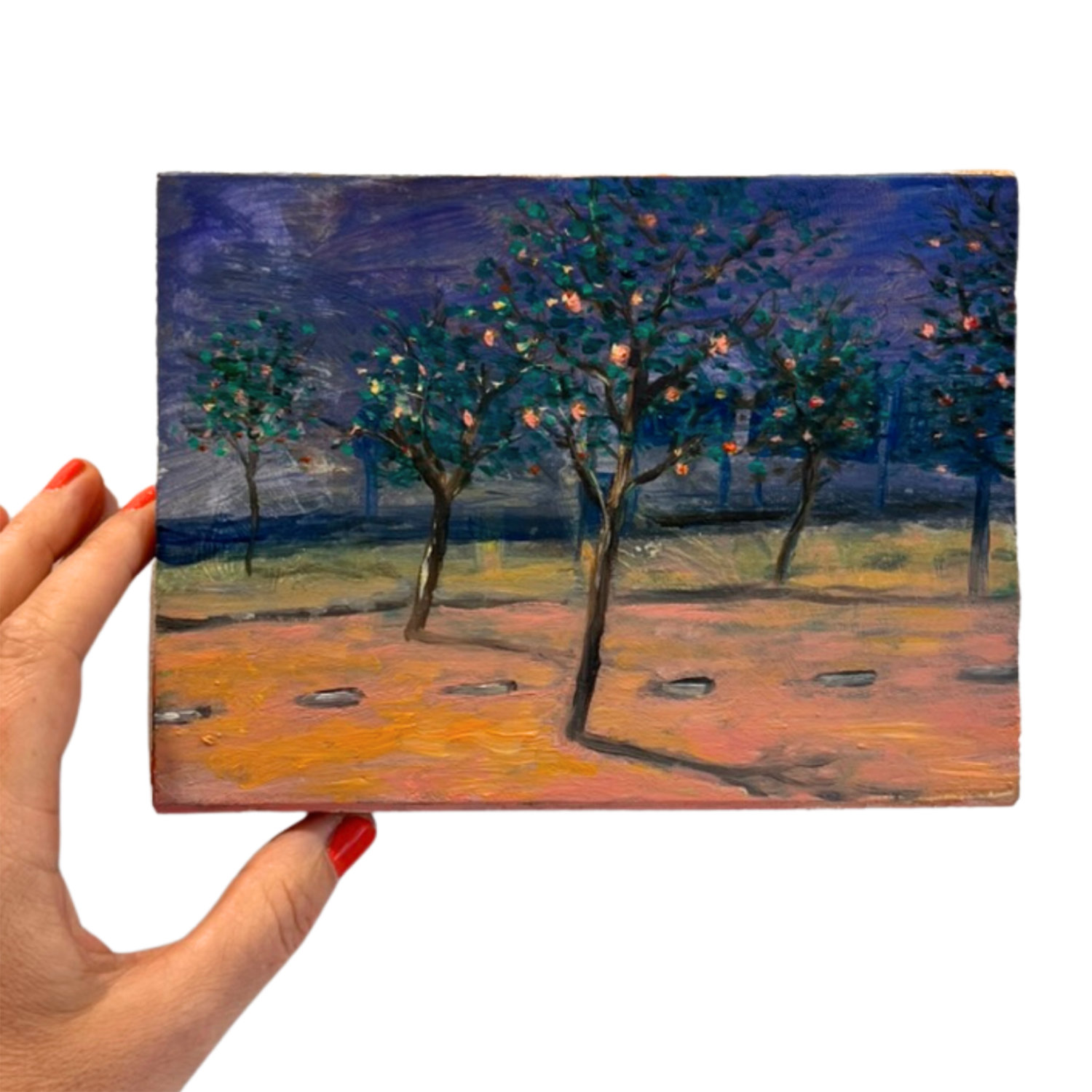 Martijn Lucas van Erp | Fruitboomweg - Afbeelding 4