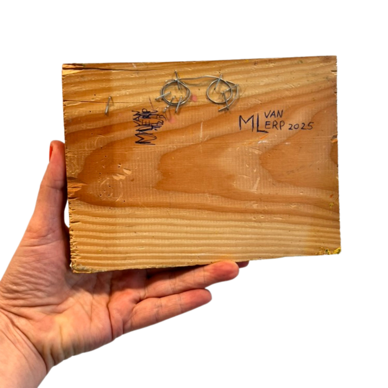 Martijn Lucas van Erp | Fruitboomweg - Afbeelding 5