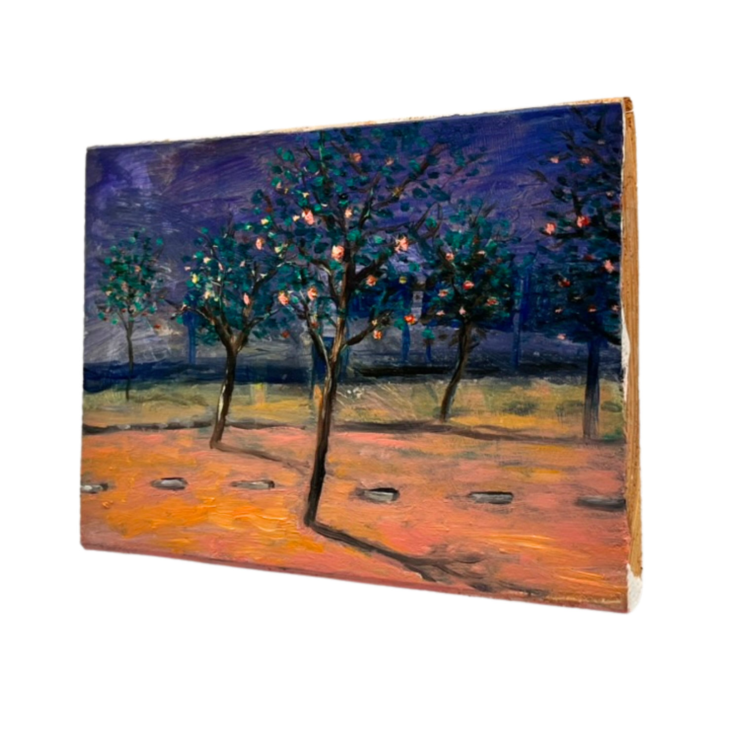 Martijn Lucas van Erp | Fruitboomweg - Afbeelding 3