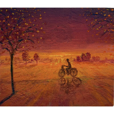 Martijn Lucas van Erp | Eeuwige Fietser