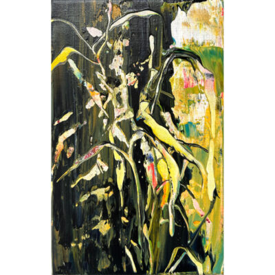 Danielle van Broekhoven | Precious night