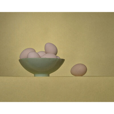 Ursula van de Bunte | Eggscape